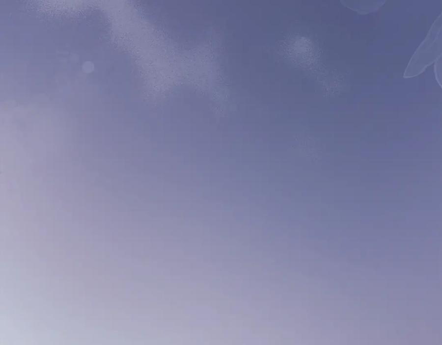 143.jpg