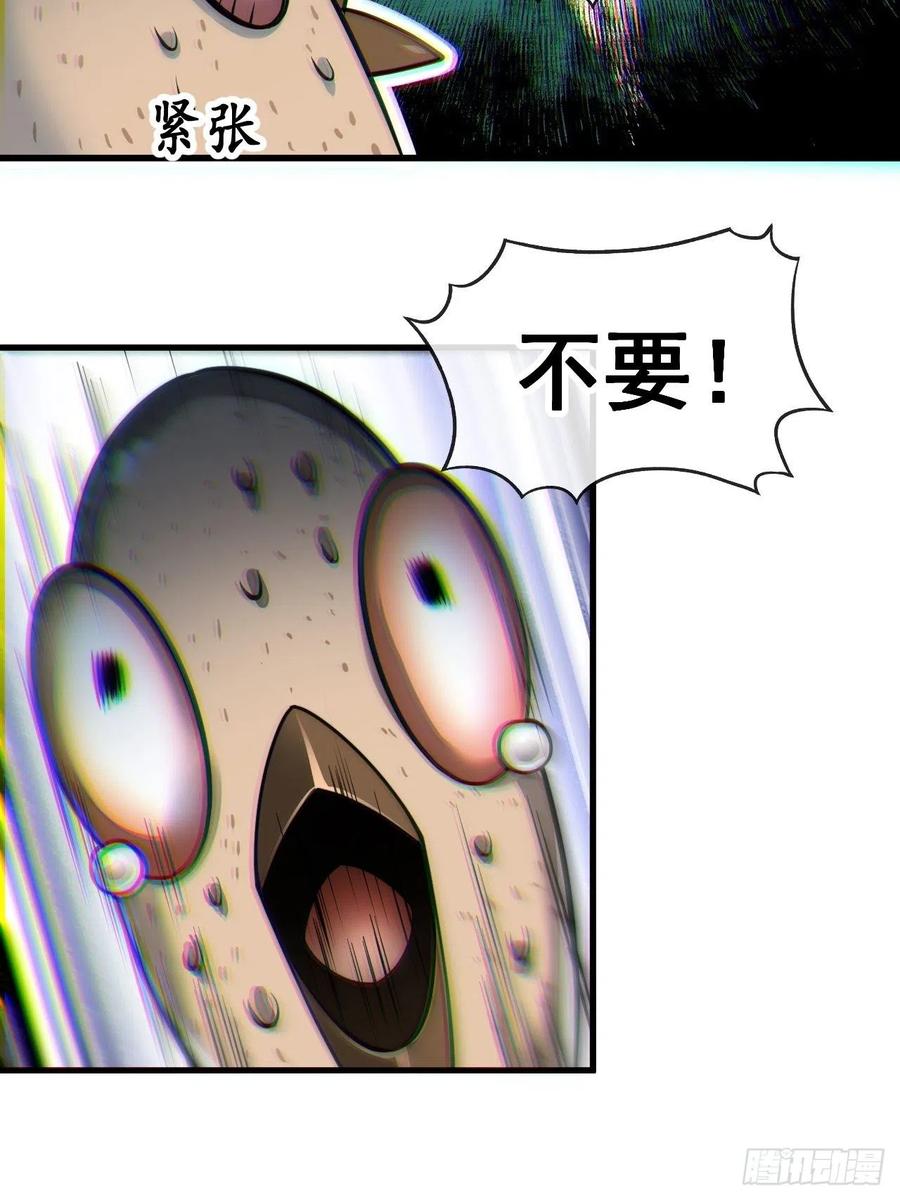 41.jpg