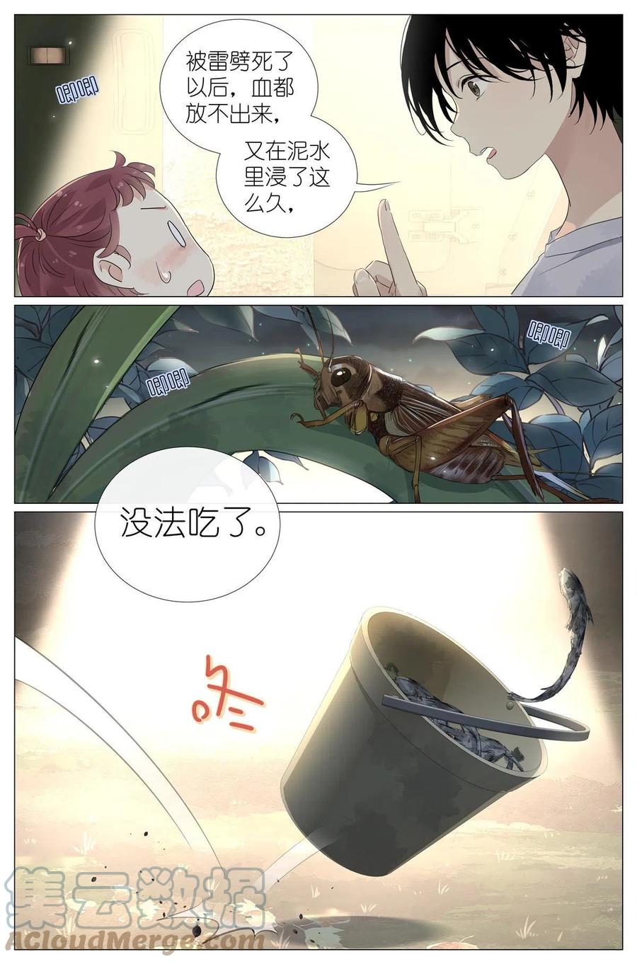 11.jpg