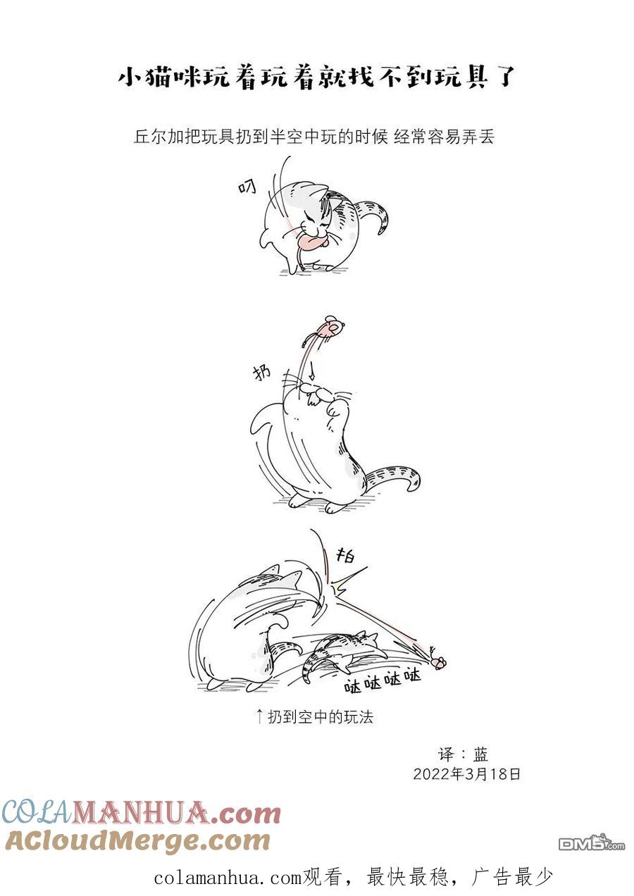 第108话-关于养猫我一直是新手-キュルZ（第2张）