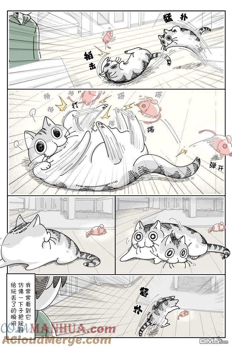 第108话-关于养猫我一直是新手-キュルZ（第1张）
