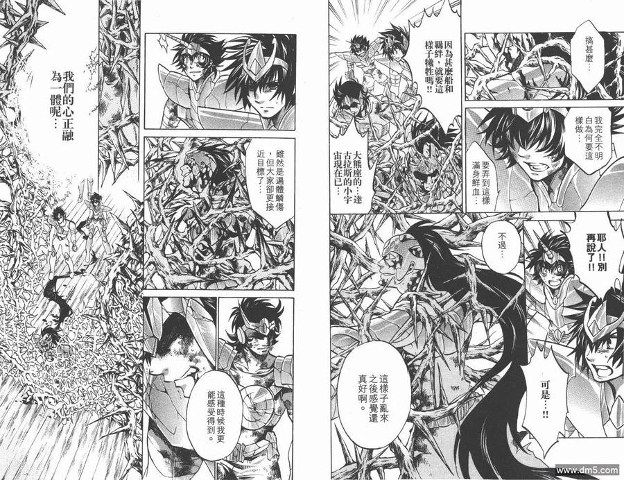 第15卷-圣斗士星矢 冥王神话-手代木史织（第10张）