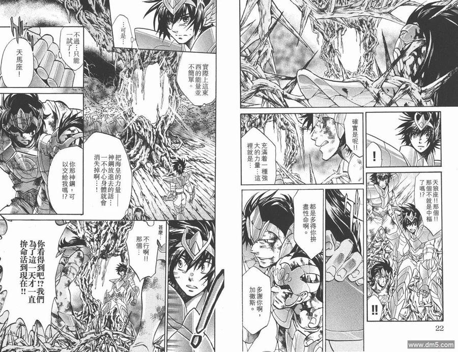 第15卷-圣斗士星矢 冥王神话-手代木史织（第11张）