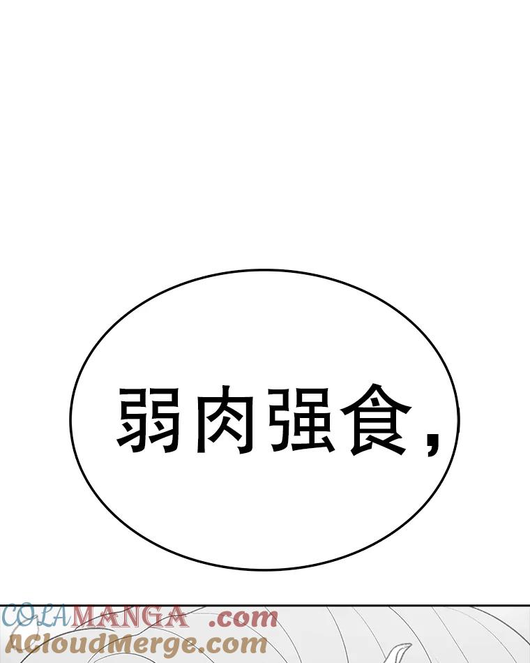 233.jpg