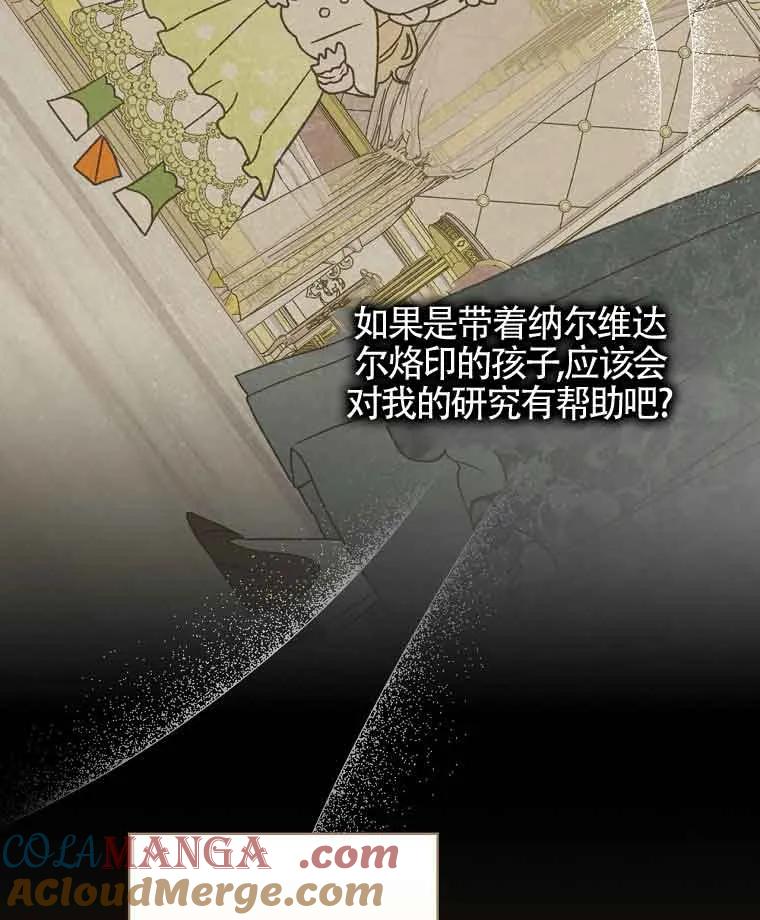 113.jpg