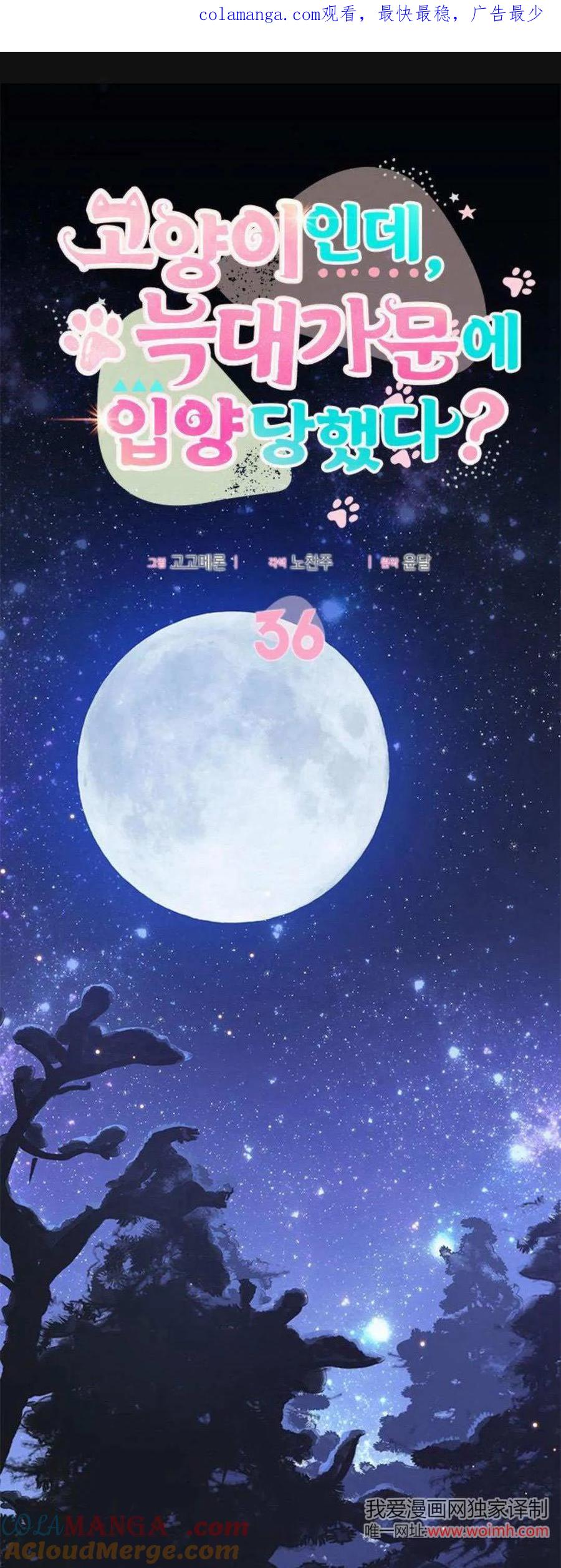 第36话-明明是猫，却被狼族收养了？-노찬주（第1张）