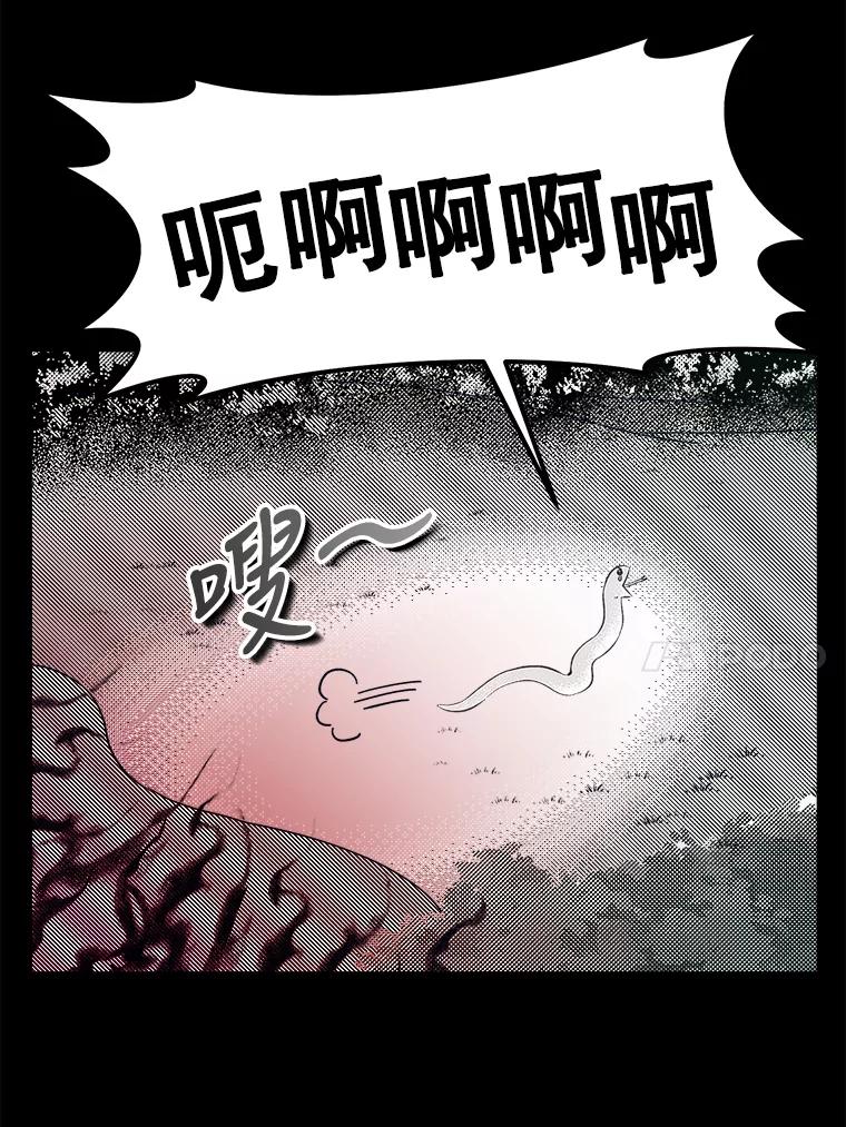 54.jpg
