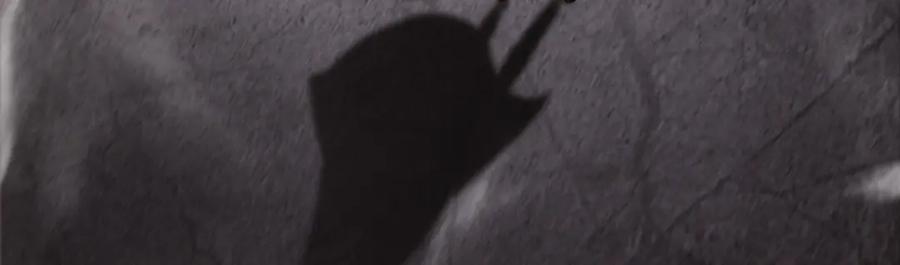 103.jpg