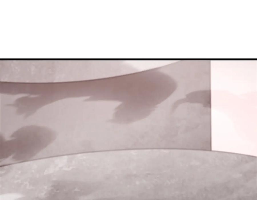 155.jpg