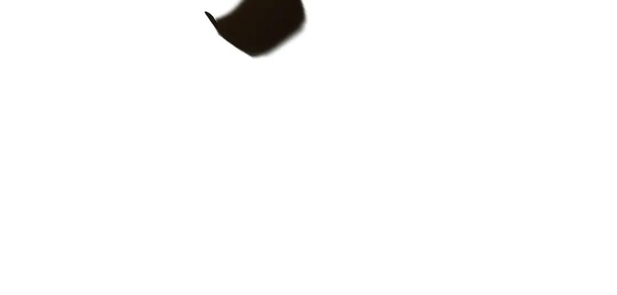229.jpg