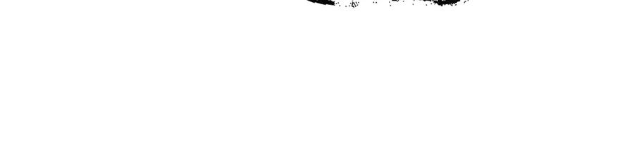 196.jpg