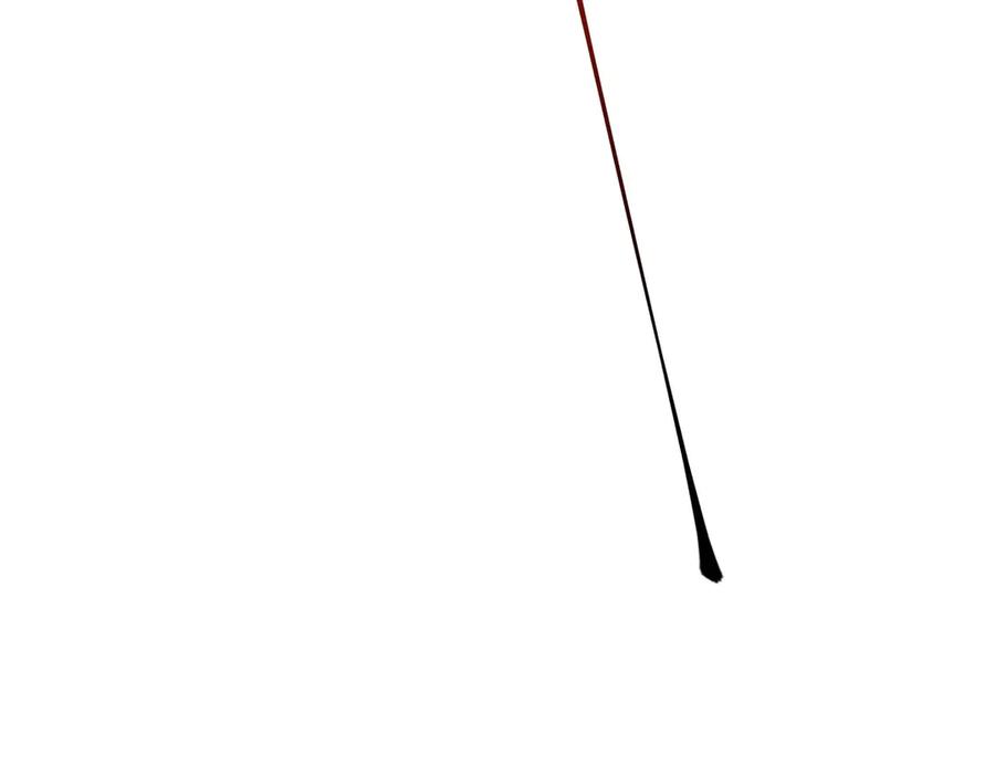 147.jpg