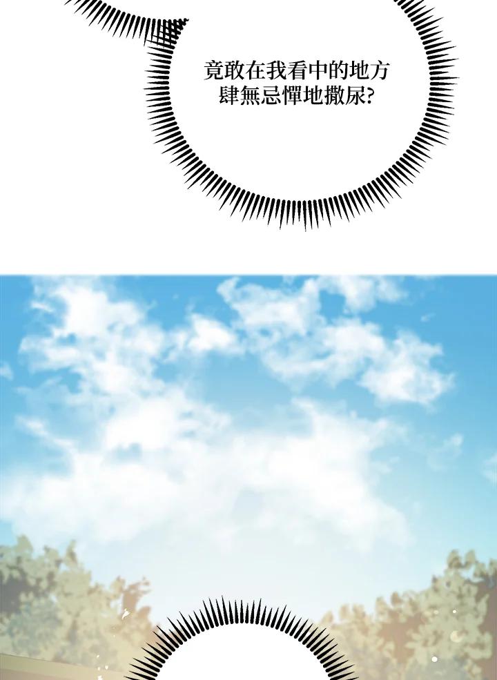 110.jpg