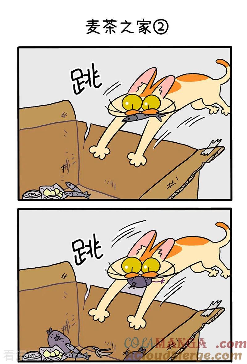 第30话麦茶之家-阿满和麦茶-新漫画 日胖大海寺（第3张）