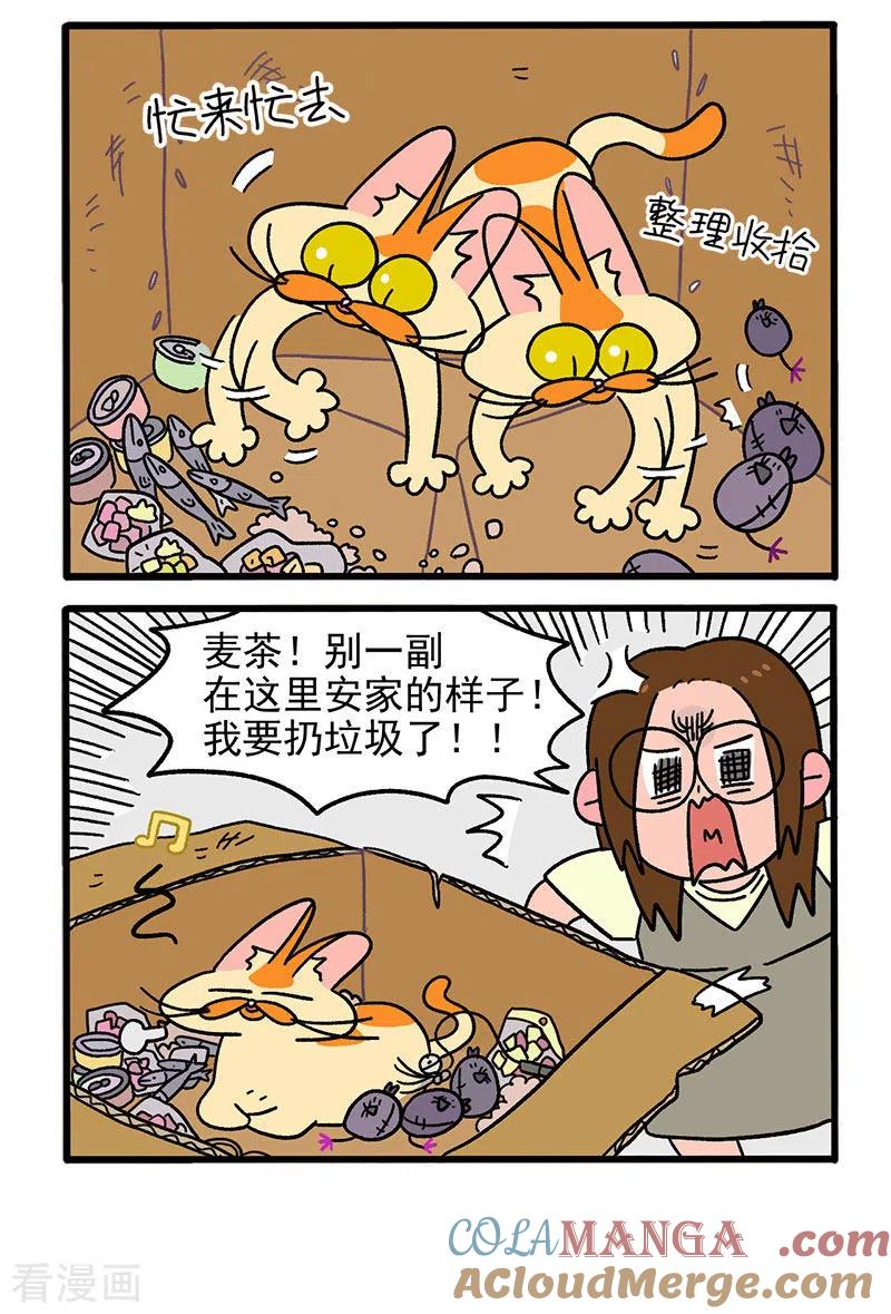 第30话麦茶之家-阿满和麦茶-新漫画 日胖大海寺（第4张）