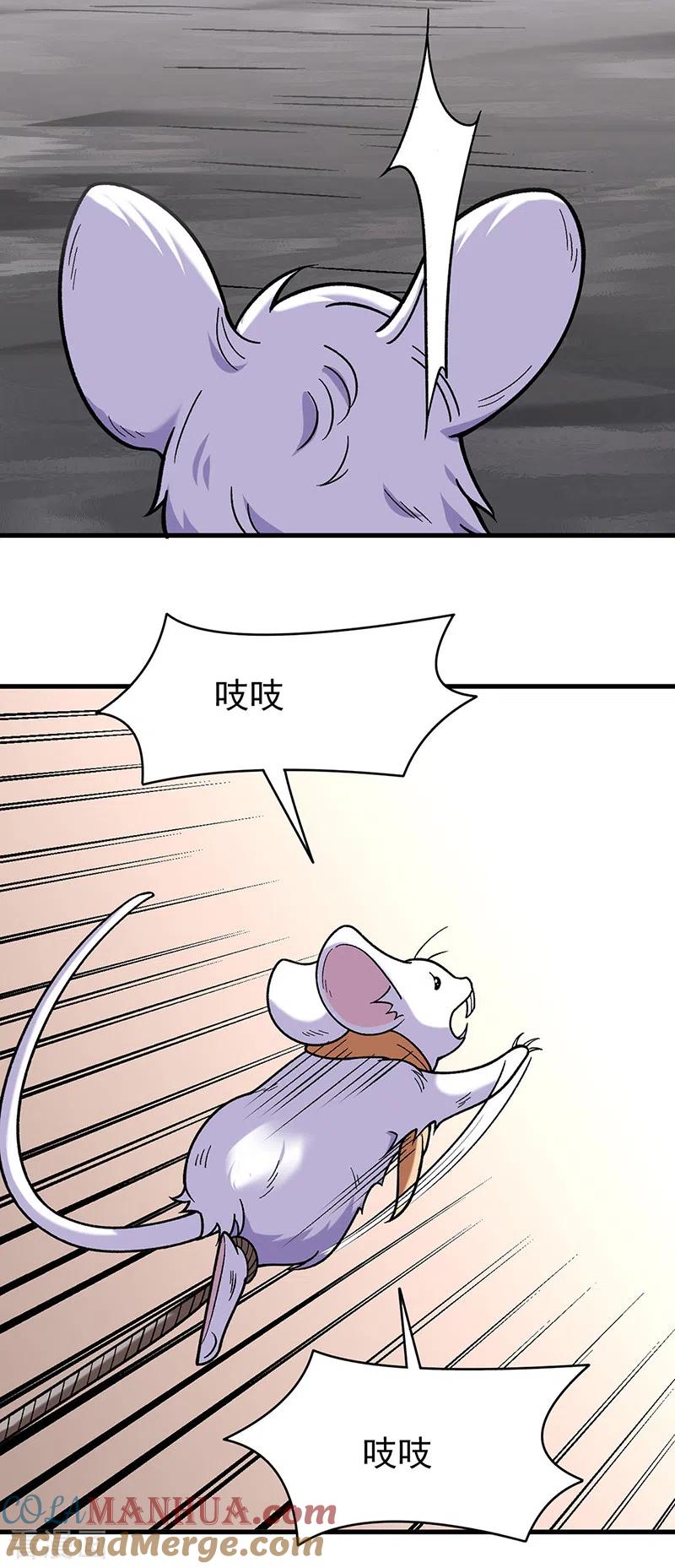 15.jpg