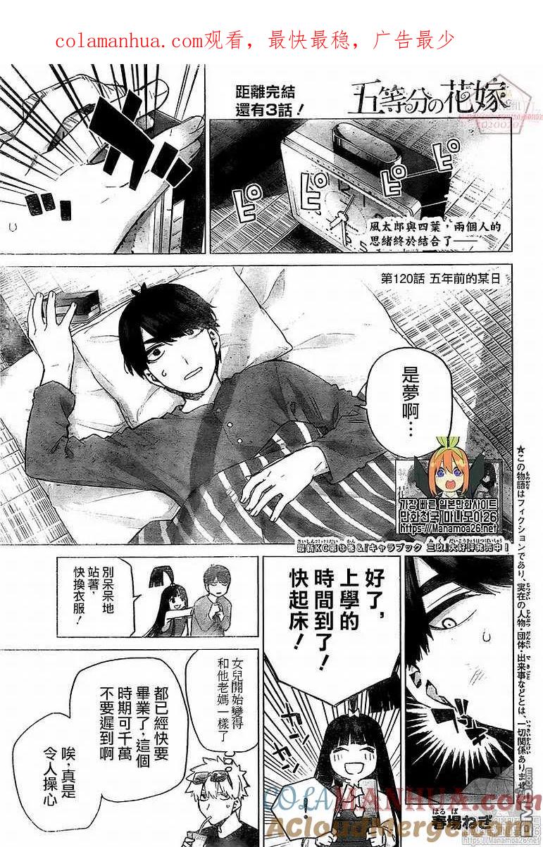 第120话-五等分的花嫁-春场ねぎ（第1张）