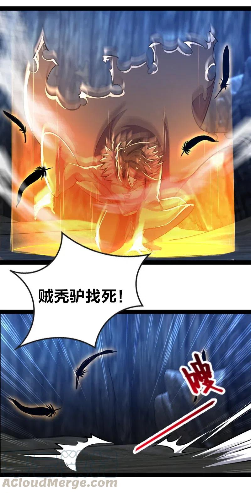 17.jpg