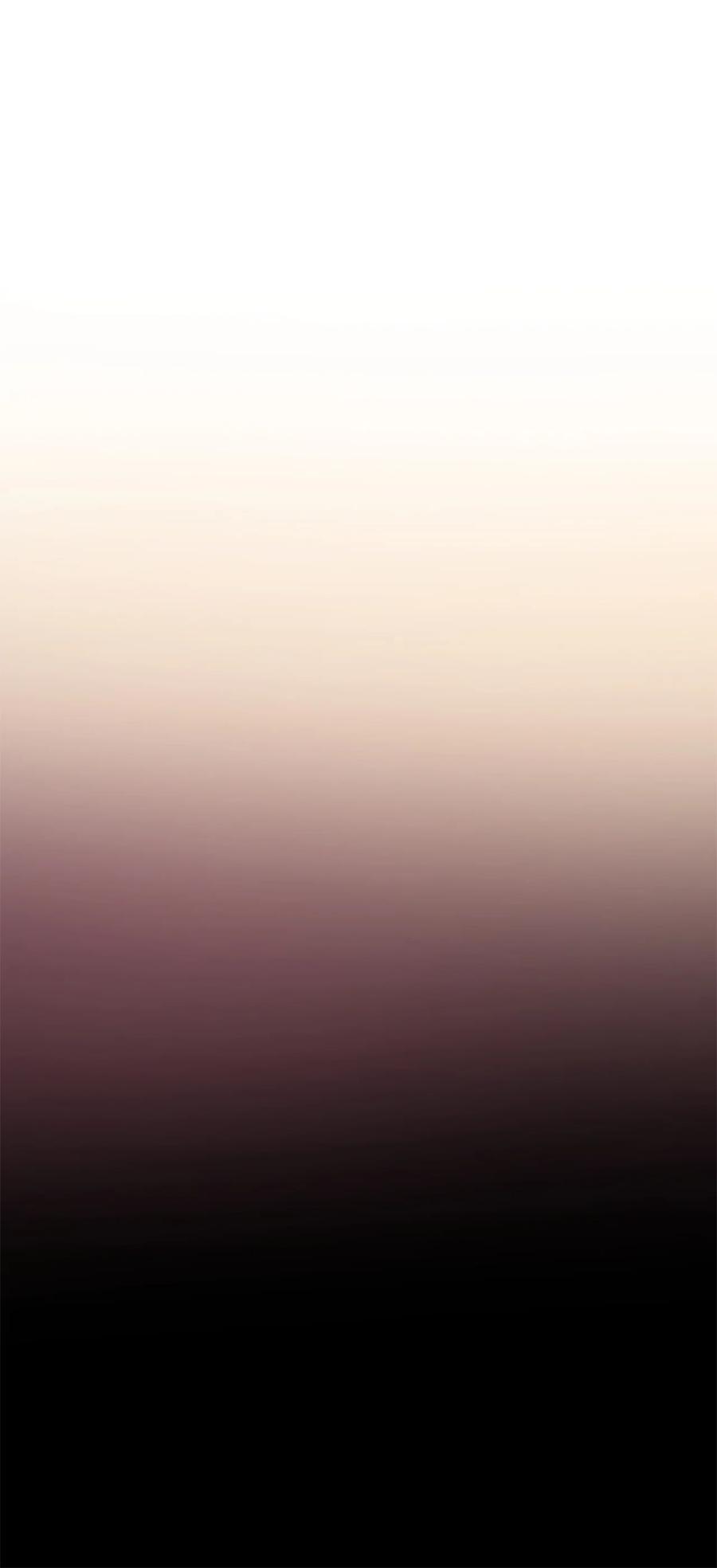 80.jpg