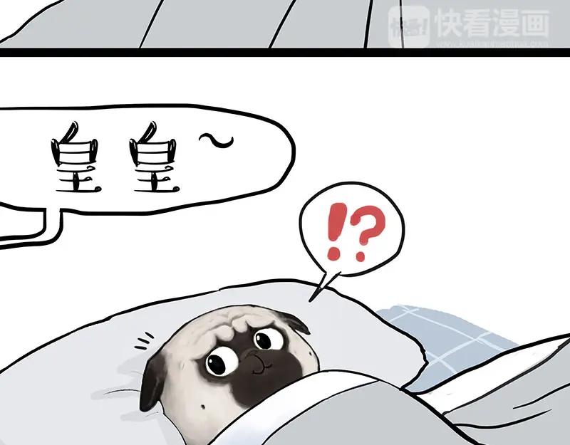 50.jpg