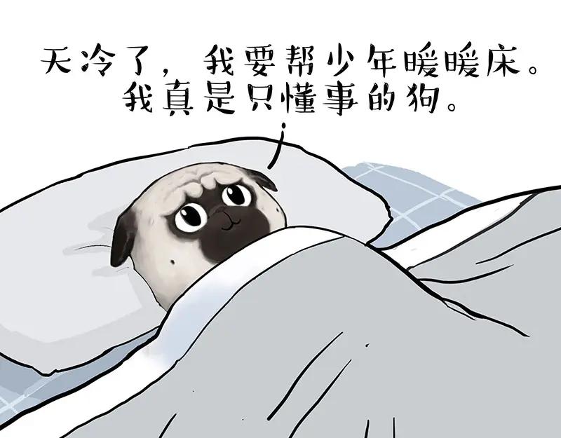 49.jpg