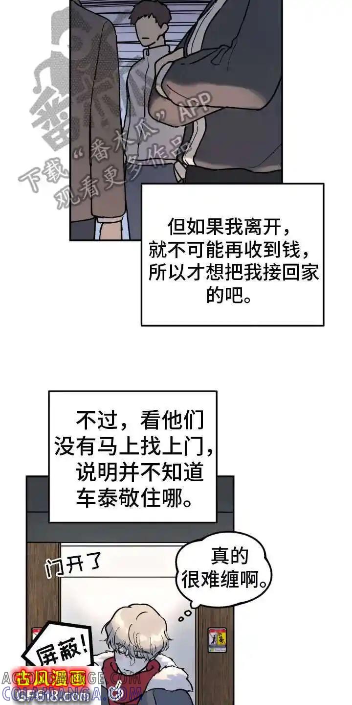15.jpg