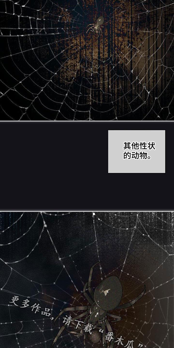 第159章：【第三季】自相残杀-赌徒深渊-Aczer & JOO（第24张）