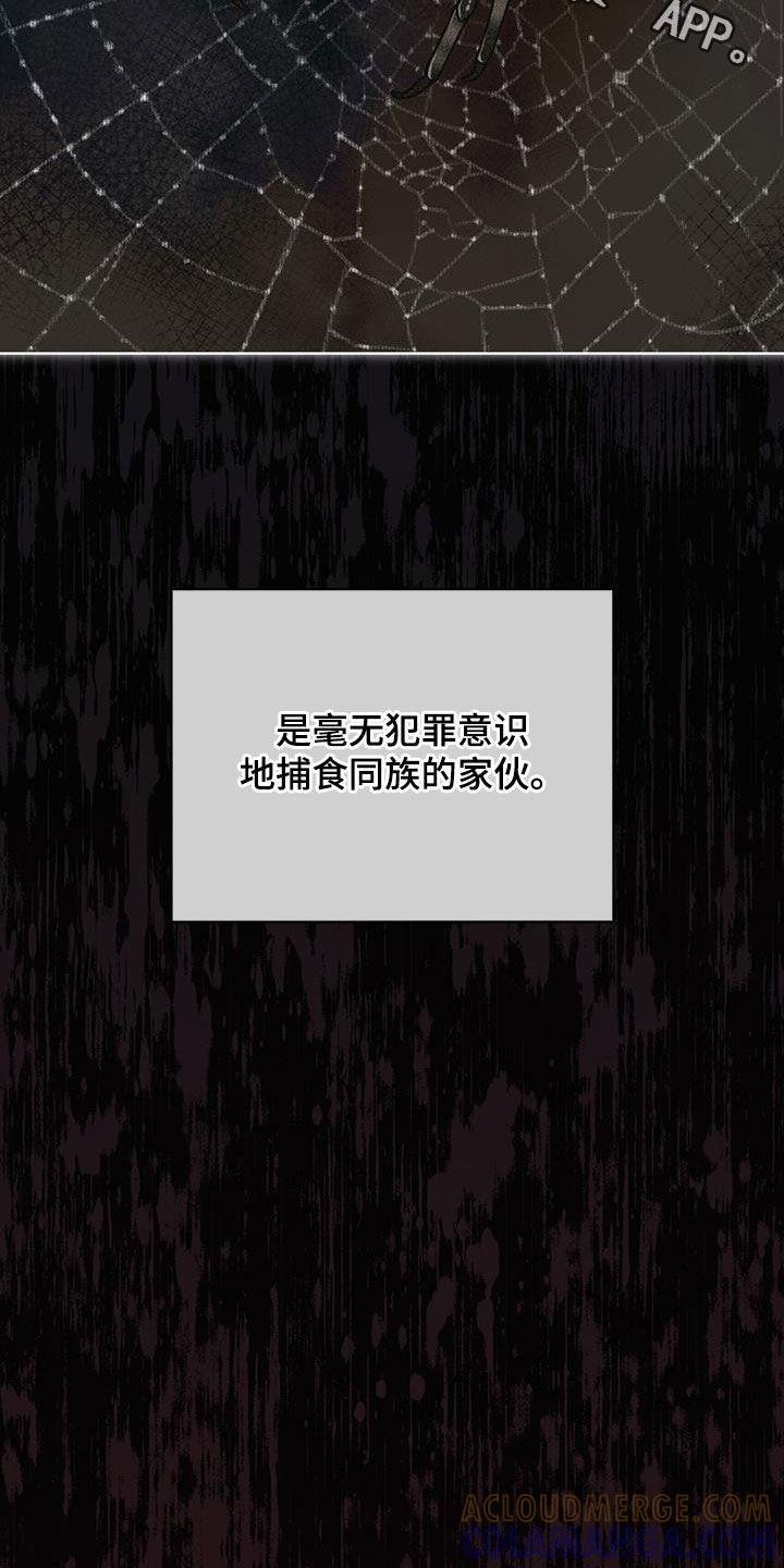 第159章：【第三季】自相残杀-赌徒深渊-Aczer & JOO（第25张）