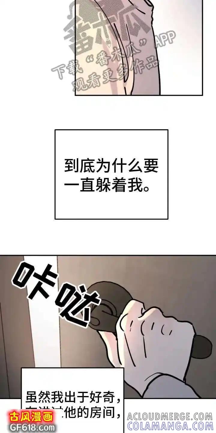 17.jpg