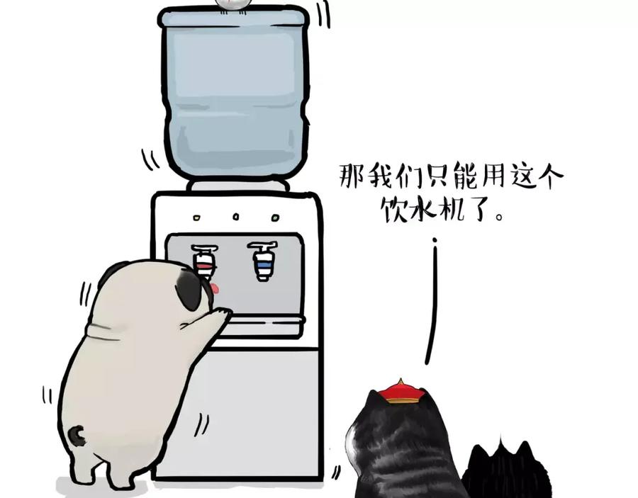 20.jpg