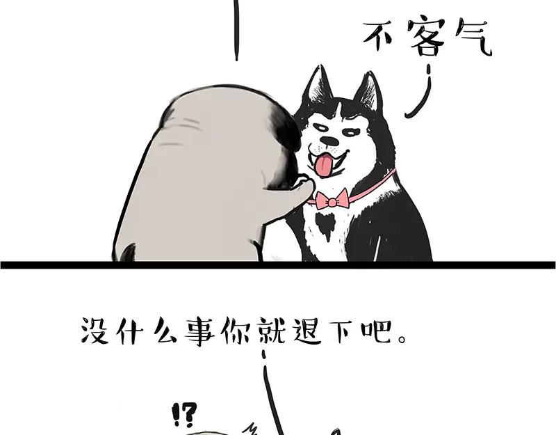 47.jpg