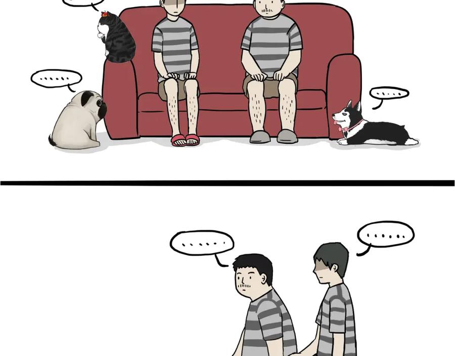 17.jpg