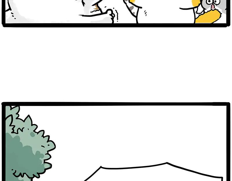 35.jpg