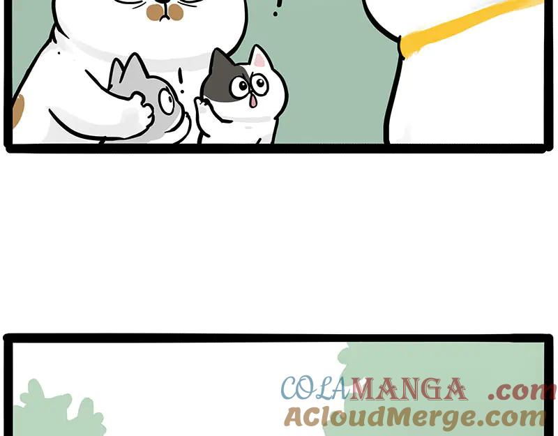 40.jpg