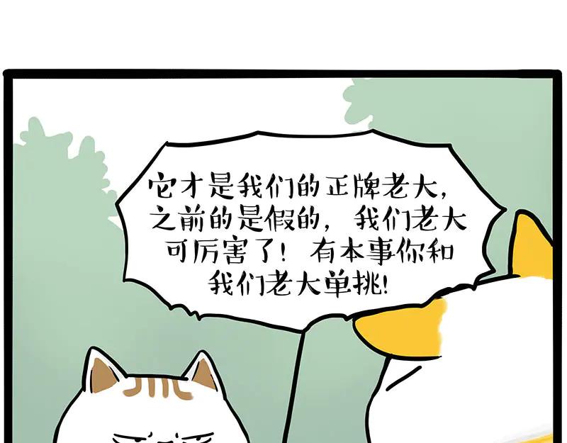 39.jpg