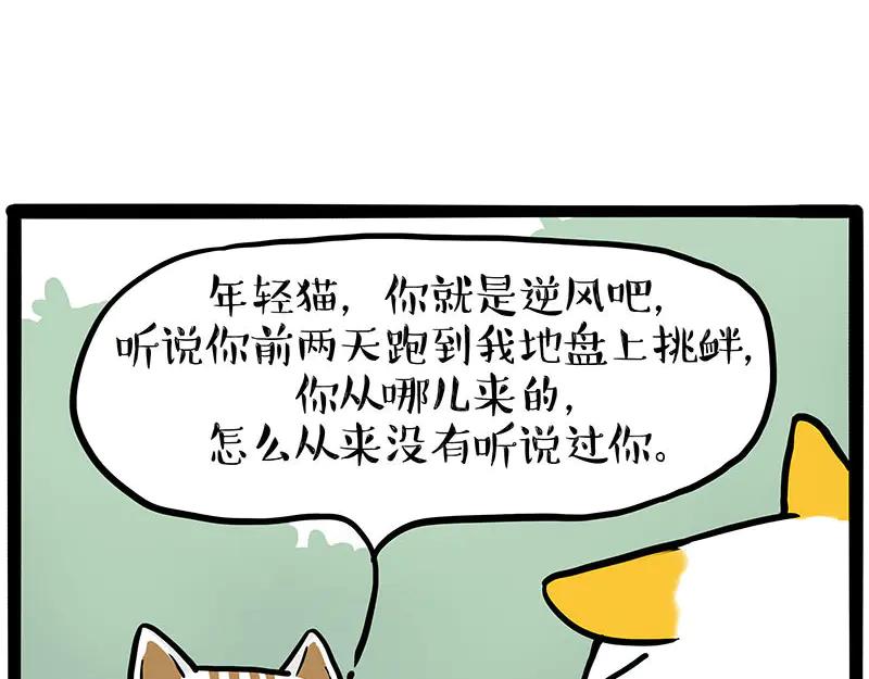 42.jpg