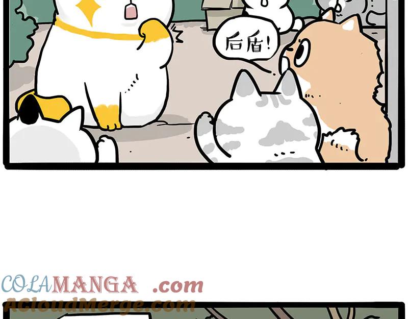 28.jpg