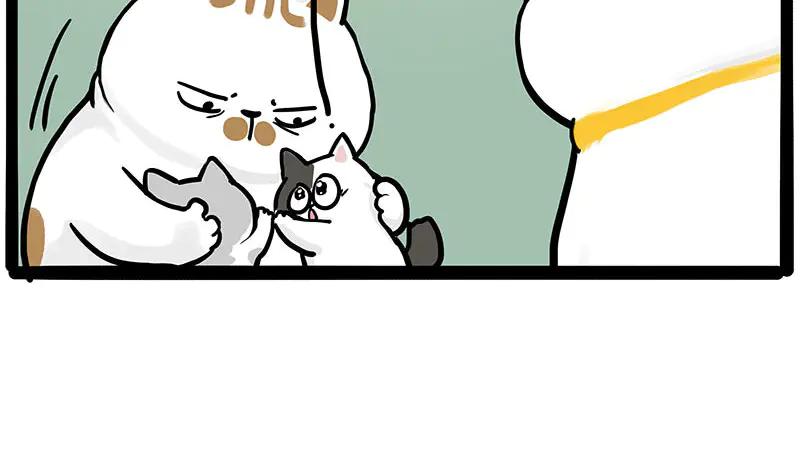 38.jpg