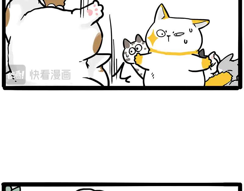 33.jpg