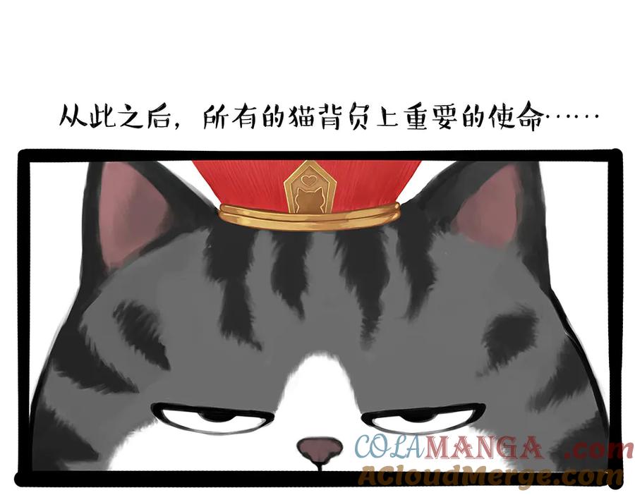 43.jpg