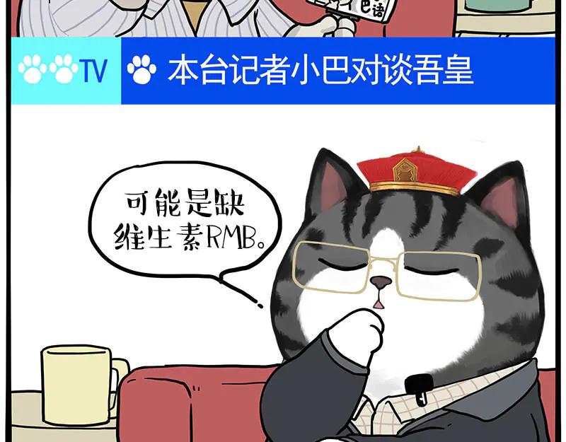 51.jpg