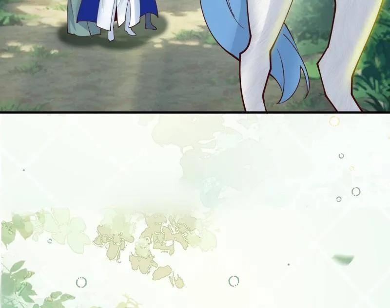 66.jpg