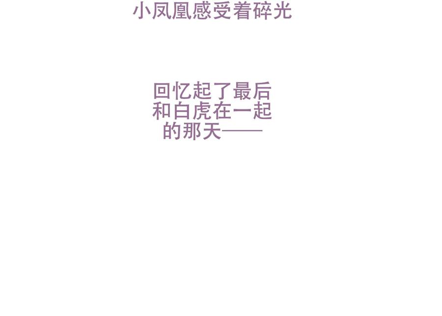 95.jpg