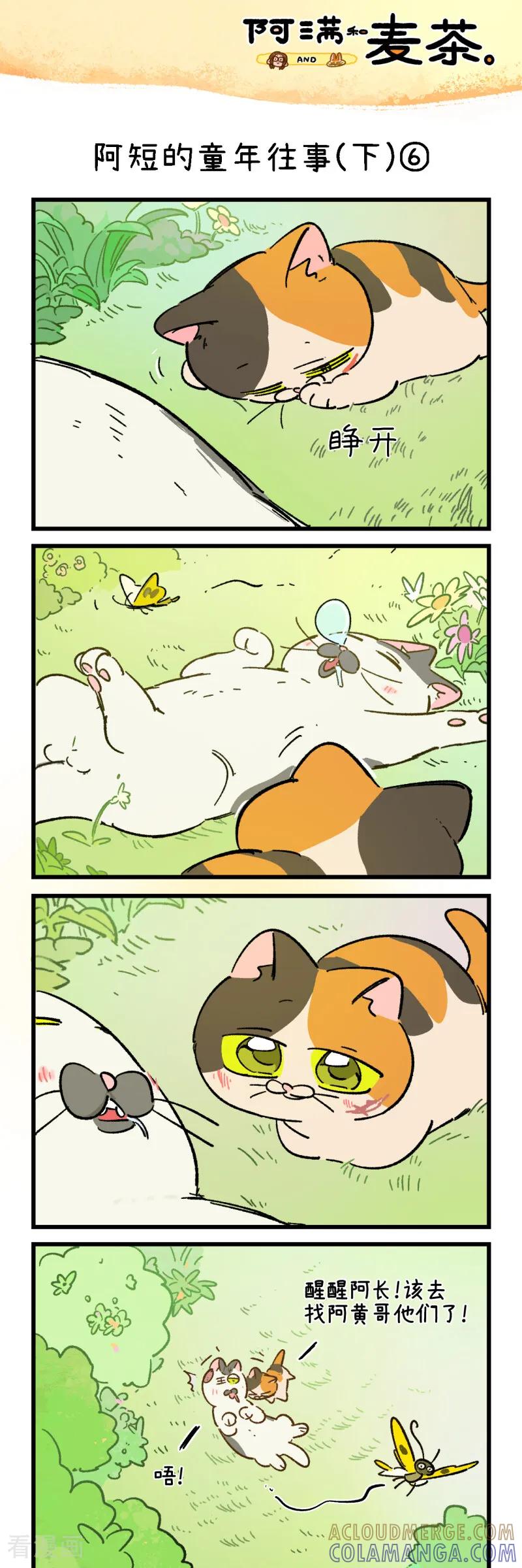 第259话-阿满和麦茶-新漫画 日胖大海寺（第11张）