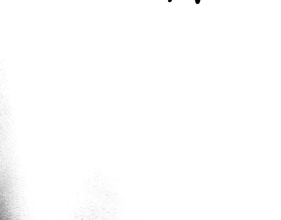 164.jpg