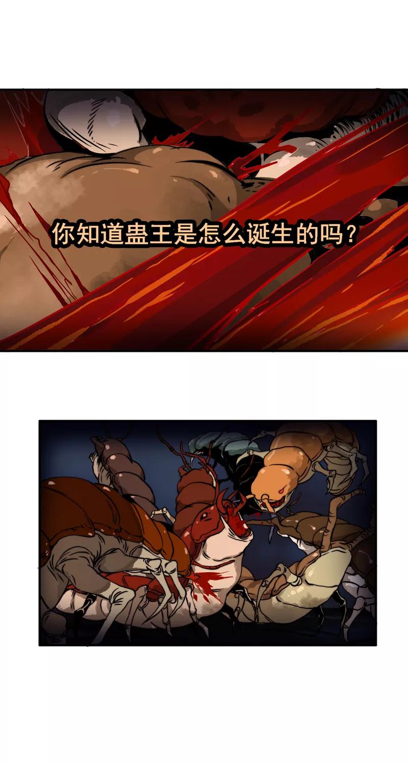 第13话只活一个-无尽长林-马鲍方&耿展扬（第2张）