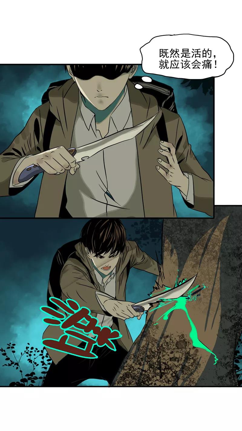 第14话危机四伏-无尽长林-马鲍方&耿展扬（第6张）