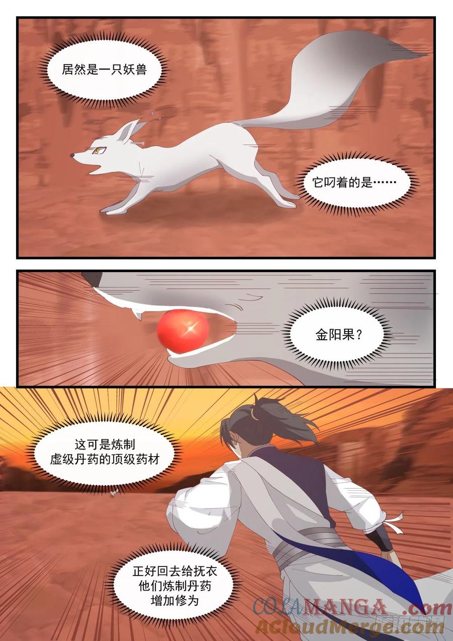 6.jpg