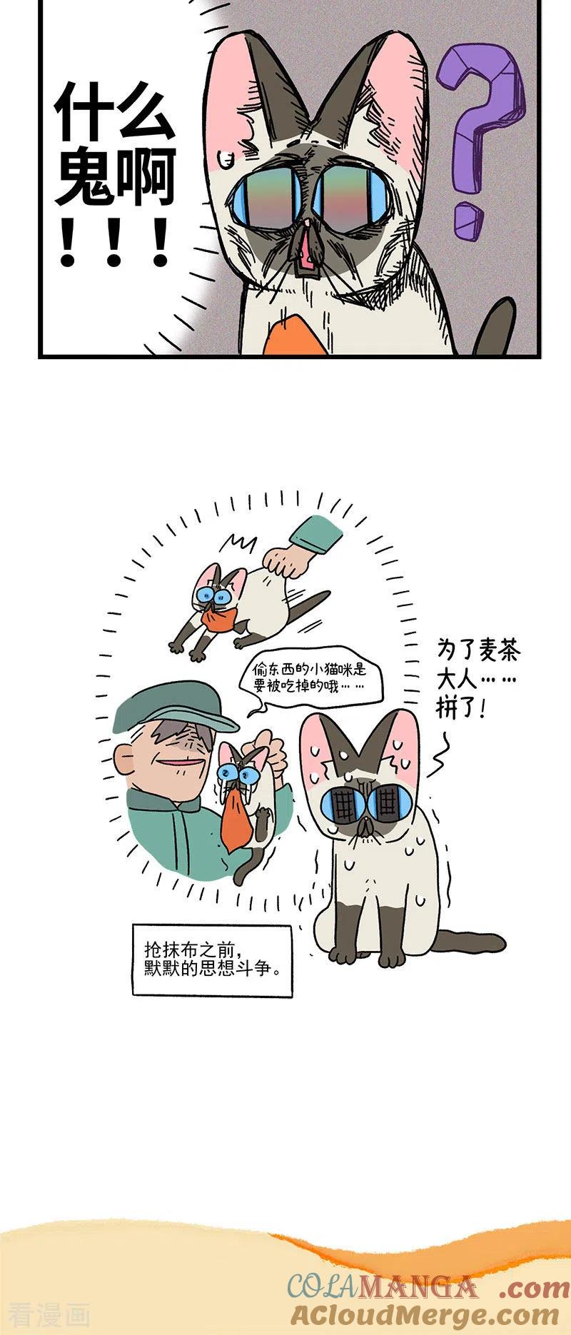 第74话2德皮特的秘密-阿满和麦茶-新漫画 日胖大海寺（第5张）