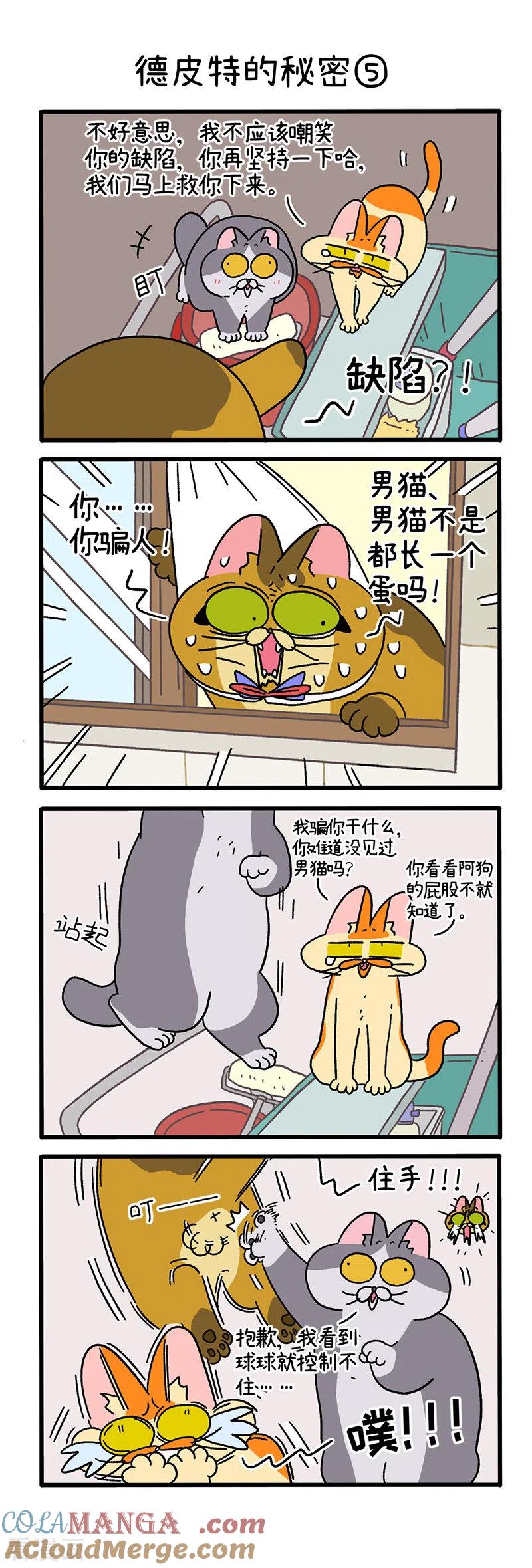 第74话2德皮特的秘密-阿满和麦茶-新漫画 日胖大海寺（第3张）